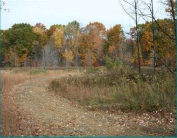 a view of a yard with trees in the background