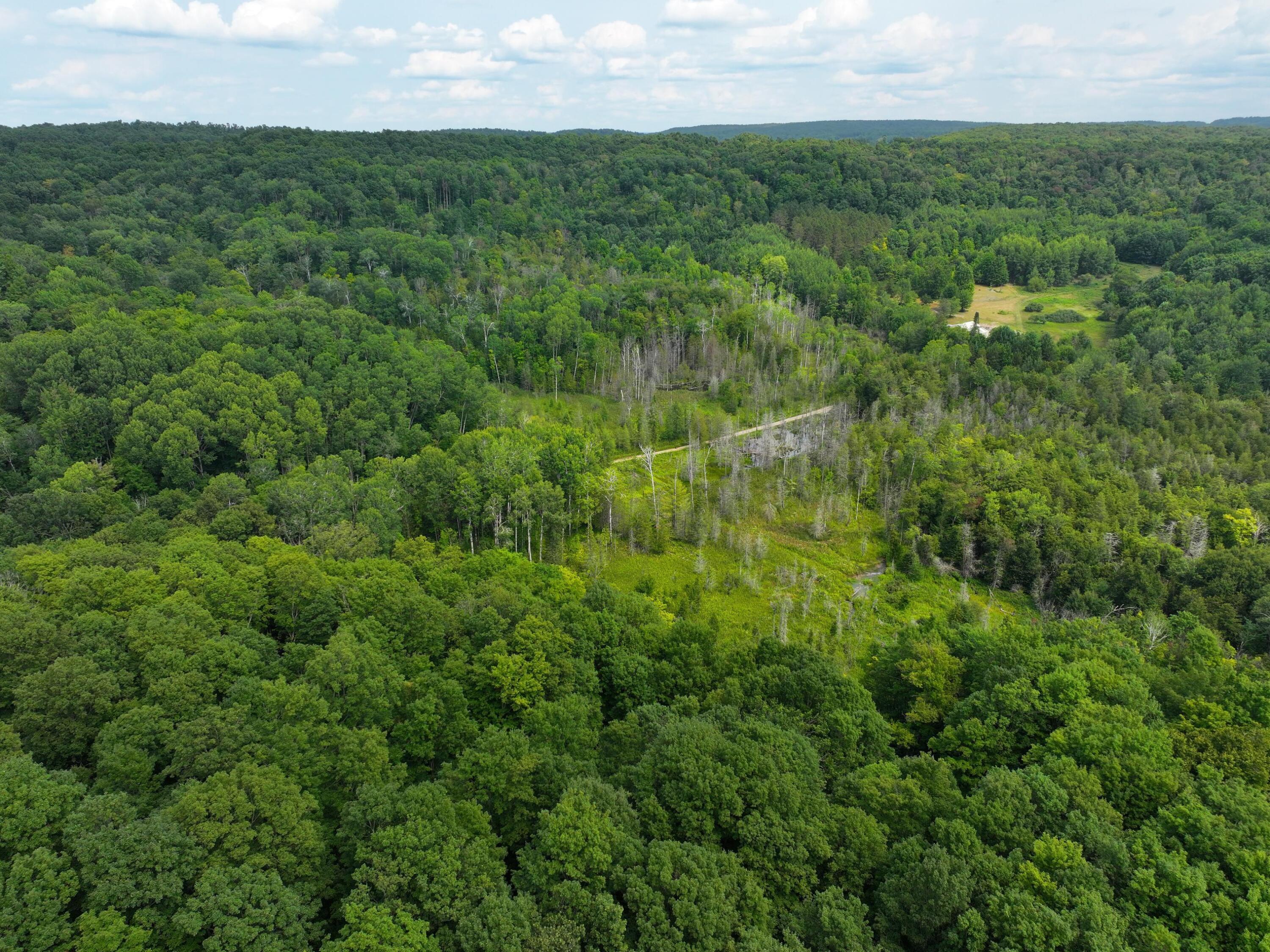 E20 A Lambdin Road East Jordan, MI 49727 - Photo 9 of 31 DJI_20260805153055_0954_D