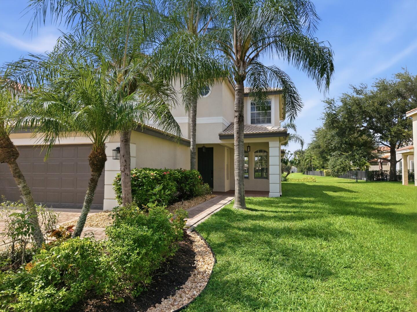 Lush Tropical Landscaping