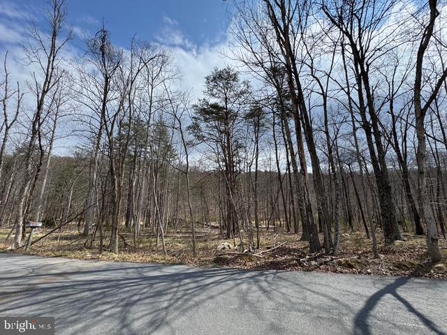 Rock Gap Road Berkeley Springs, WV 25411 - Photo 2 of 11 Gallery Image 2