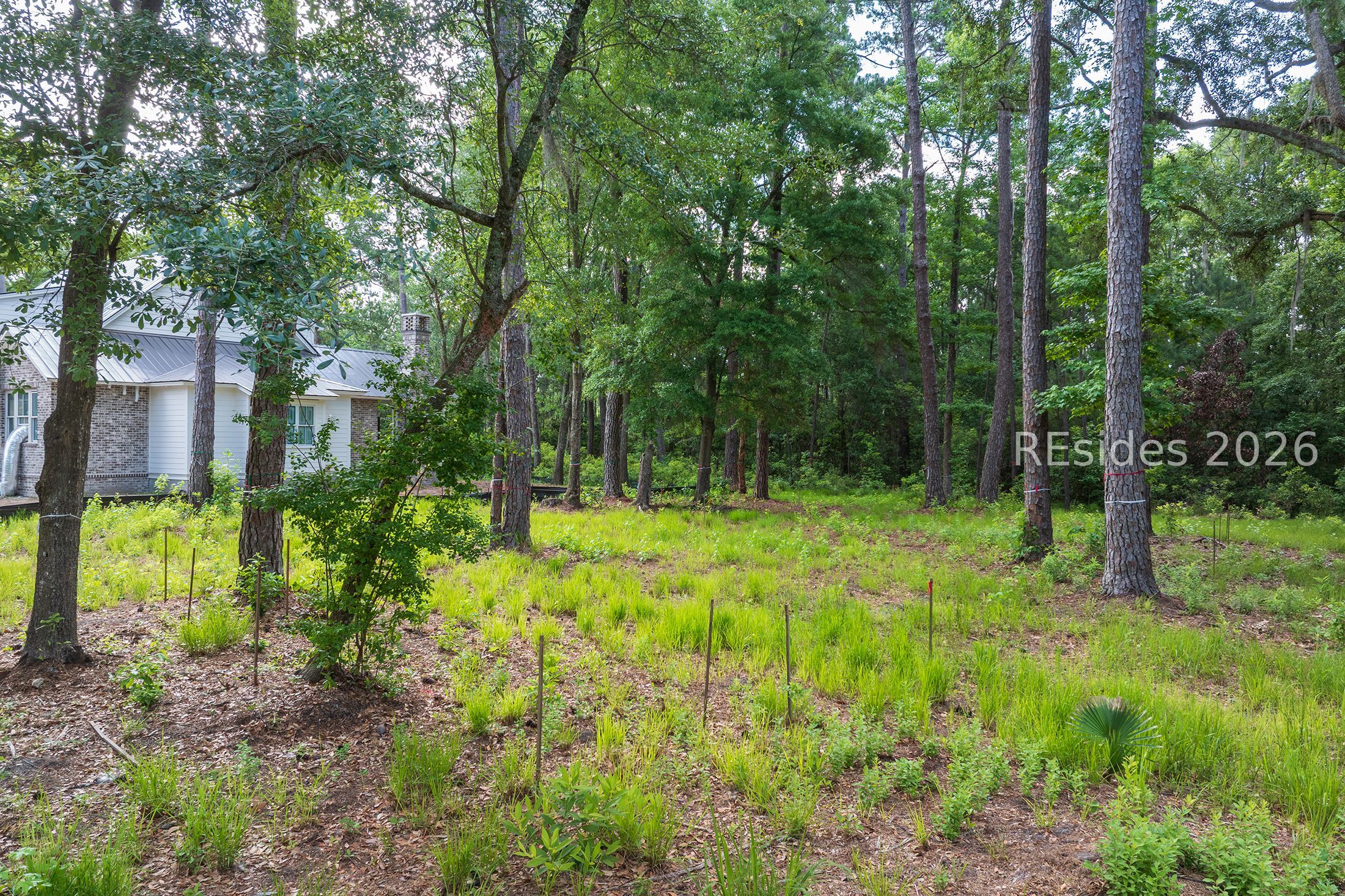 67 Lupine Road Bluffton, SC 29910 - Photo 9 of 19
