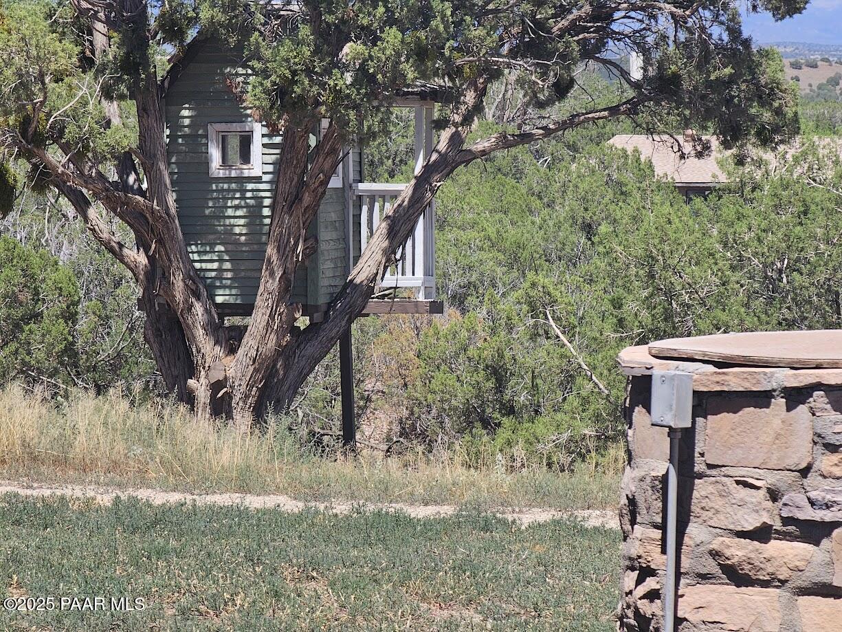 3280 West Cedar Heights Road Chino Valley, AZ 86323 - Photo 3 of 45 Treehouse