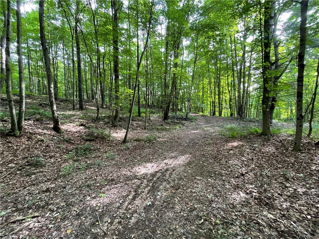353 County Road 34 Norwich Town, NY 13815 - Photo 11 of 36 Awesome trails!