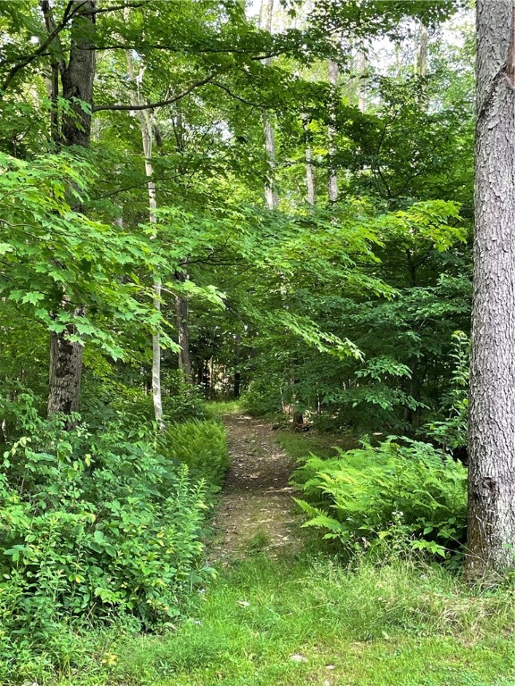 353 County Road 34 Norwich Town, NY 13815 - Photo 12 of 36 many paths throughout the land for 4 wheelers, dir