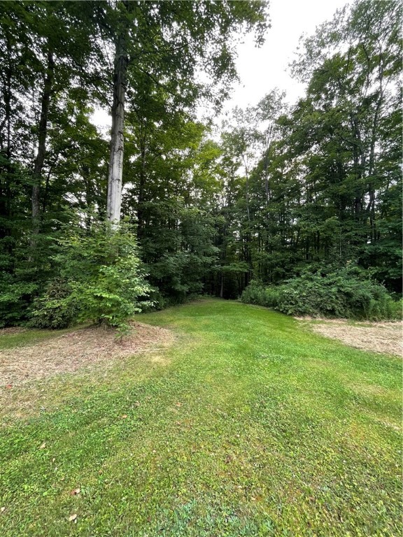 353 County Road 34 Norwich Town, NY 13815 - Photo 27 of 36 Entrance to another trail