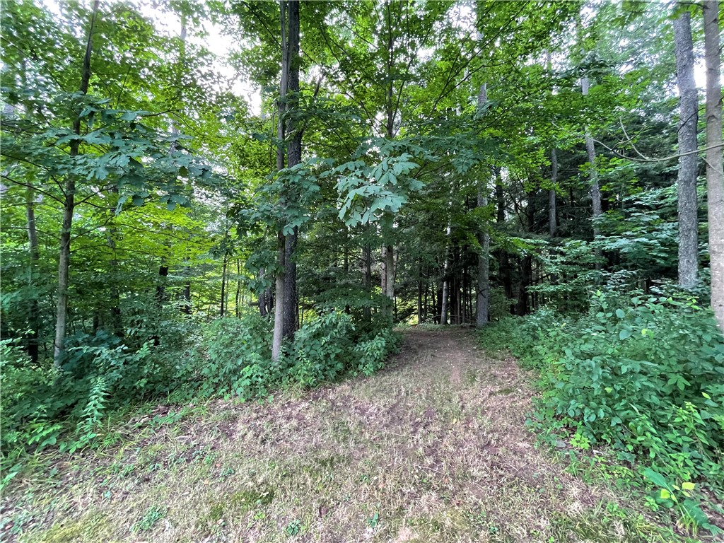 353 County Road 34 Norwich Town, NY 13815 - Photo 28 of 36 Trails