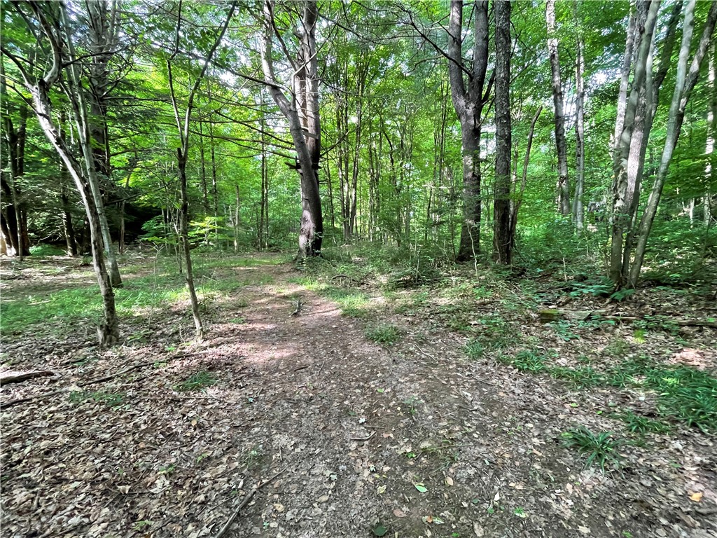 353 County Road 34 Norwich Town, NY 13815 - Photo 30 of 36