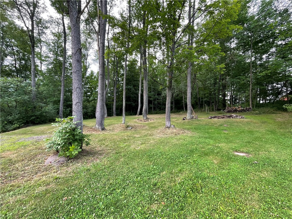 353 County Road 34 Norwich Town, NY 13815 - Photo 6 of 36 Stand of trees near fire pit.