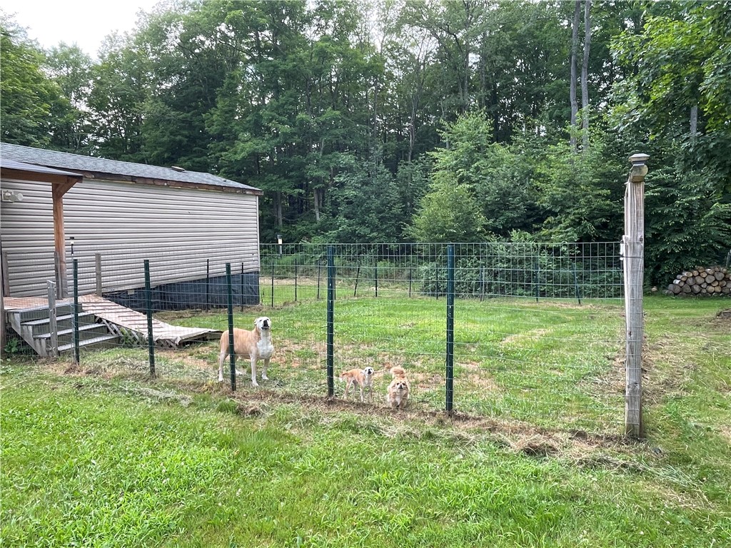 353 County Road 34 Norwich Town, NY 13815 - Photo 8 of 36 Fenced pet area with separate entrance!