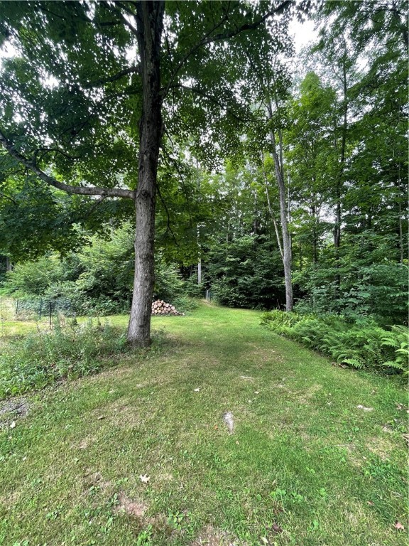 353 County Road 34 Norwich Town, NY 13815 - Photo 10 of 36 Start of many trails.