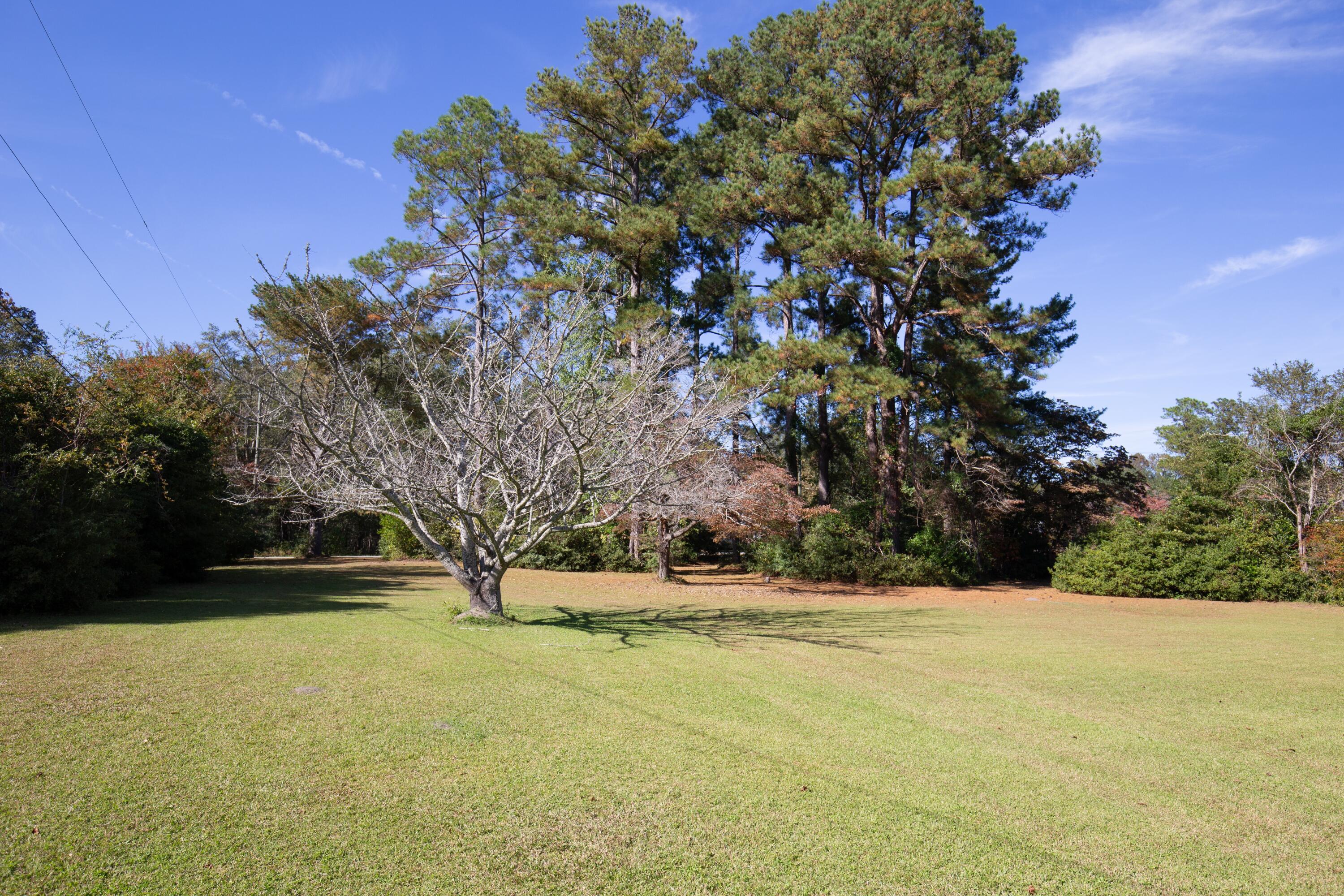 360 Pine Street Bamberg, SC 29003 - Photo 31 of 34
