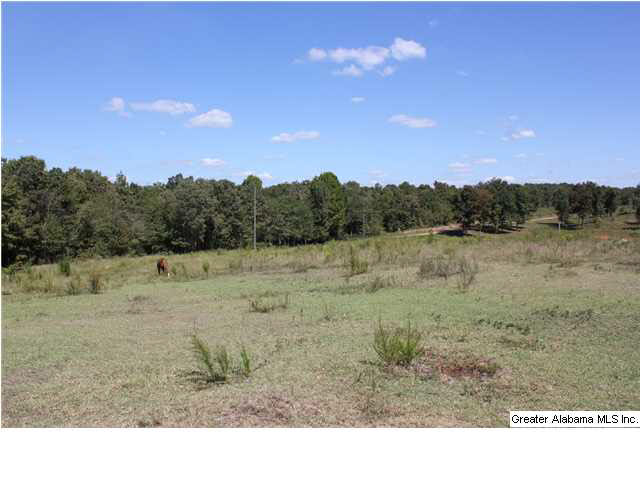 13084 Jackson Trace Road, Unit 94 83 AC Lincoln, AL 35096 - Photo 10 of 32