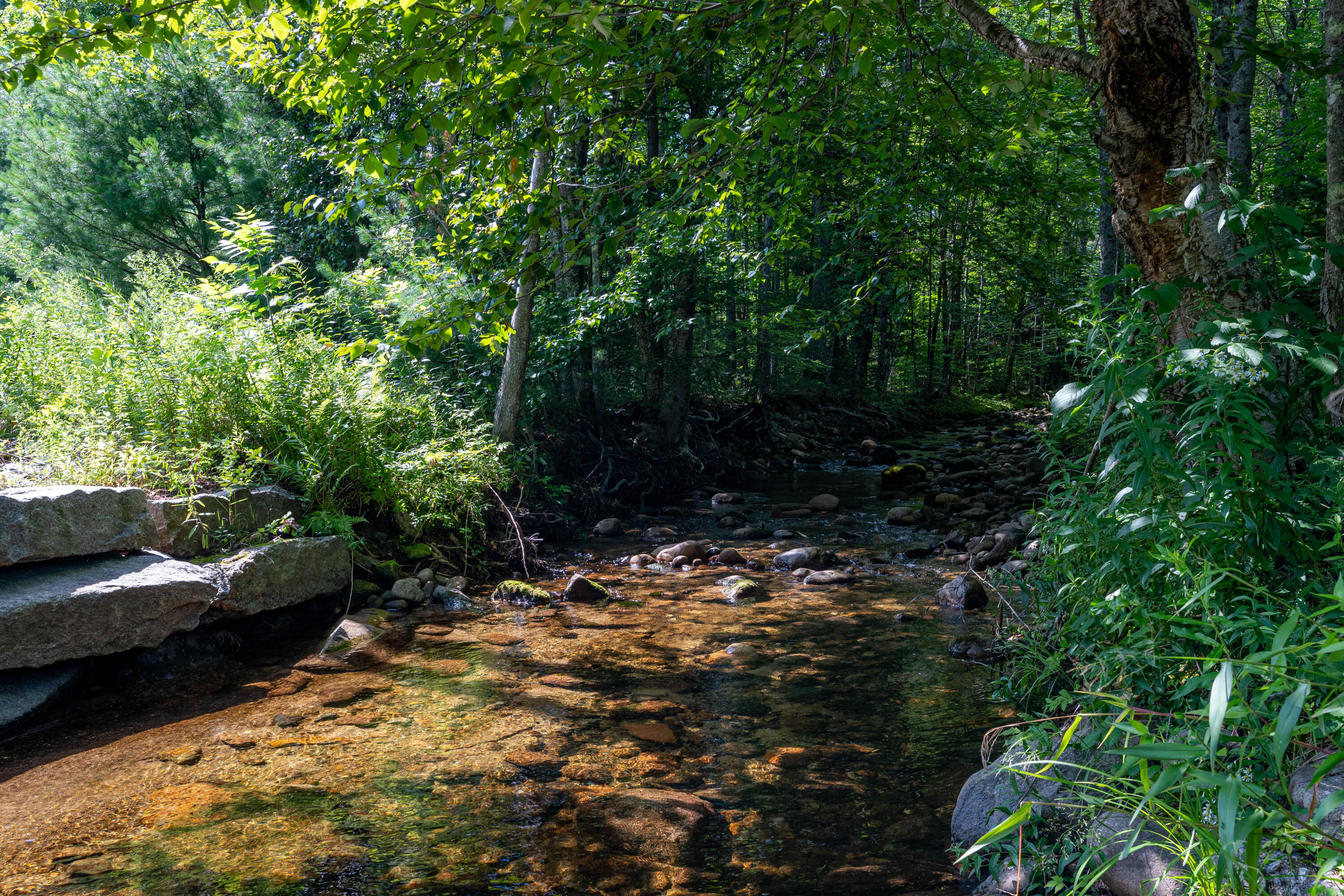105 Porter Road Brownfield, ME 04010 - Photo 11 of 34 Brook on your Property