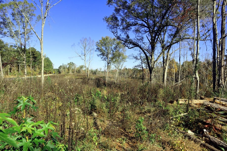2432 Hunts Chapel Road Sparta, GA 31087 - Photo 13 of 13 Gallery Image 13