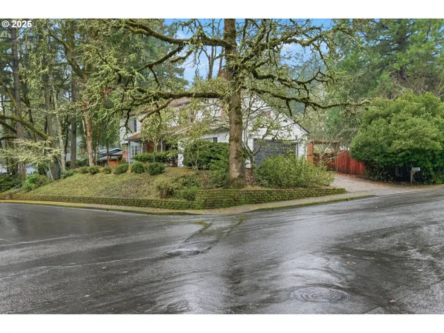 a view of a yard with an tree