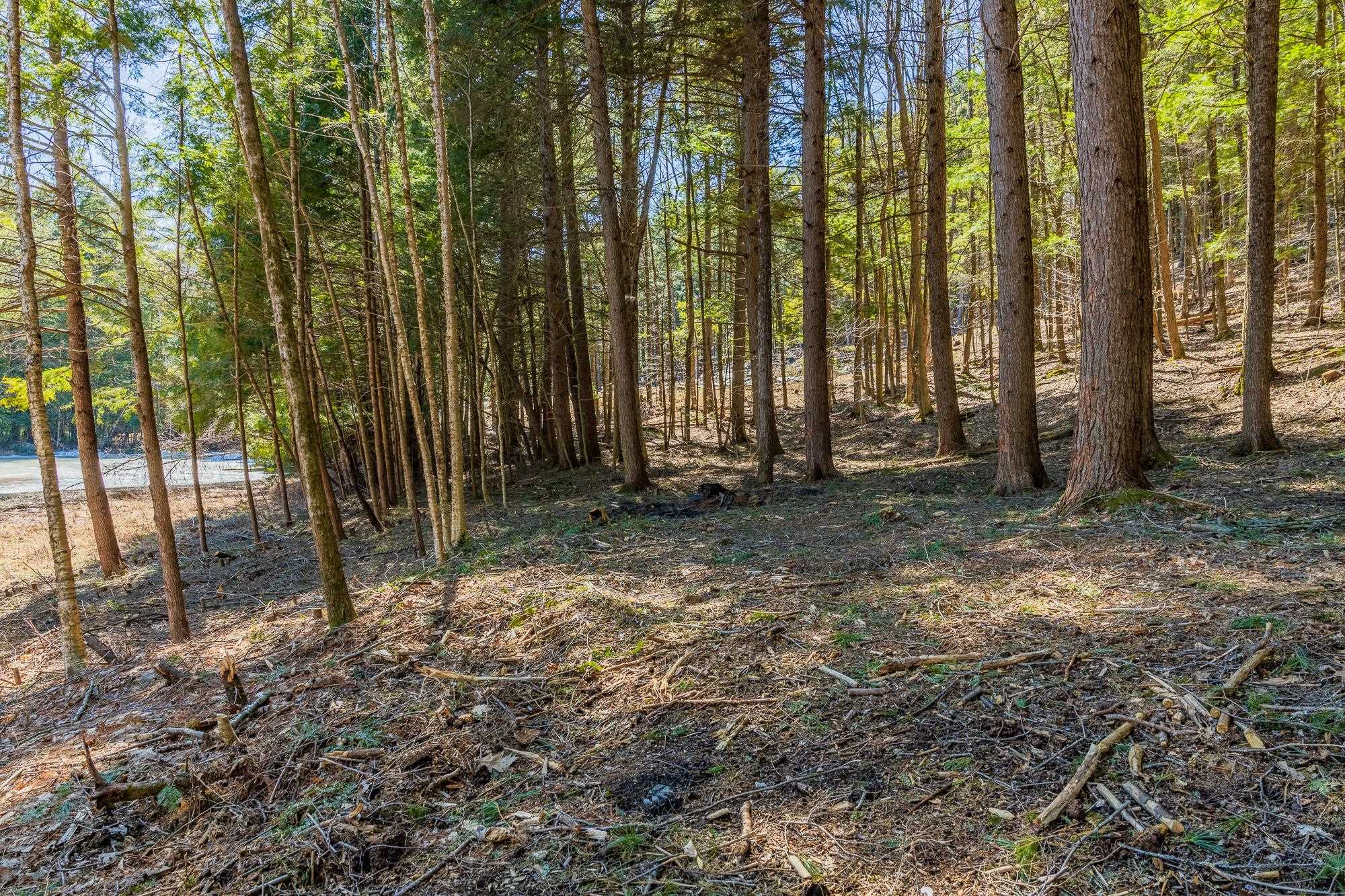 5209 Willard Road Quechee, VT 05059 - Photo 7 of 12