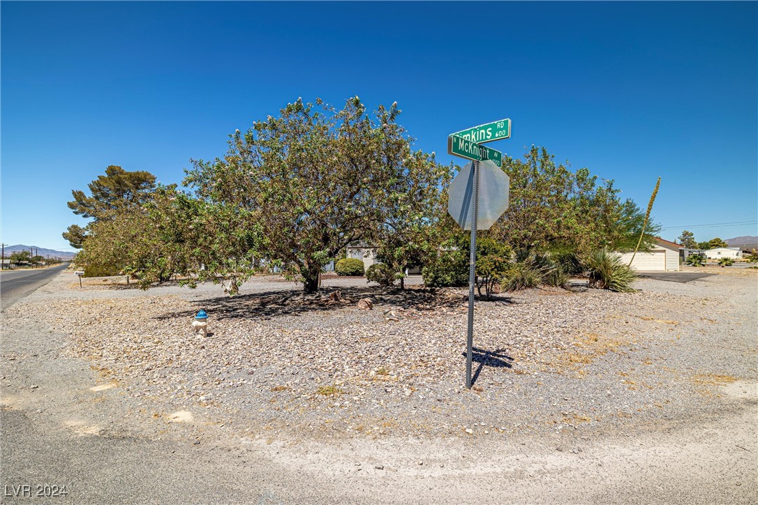 590 East Simkins Road Pahrump, NV 89060 - Photo 2 of 30 Gallery Image 2