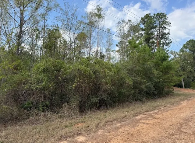$39,000 | Lot 233 Makaha Drive, Bastrop, TX 78602