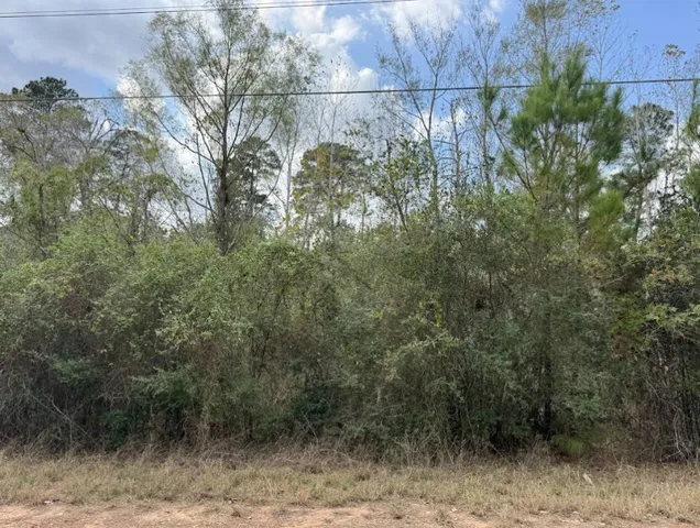 $39,000 | Lot 233 Makaha Drive, Bastrop, TX 78602