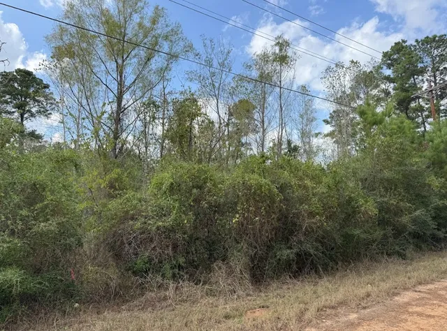 $39,000 | Lot 233 Makaha Drive, Bastrop, TX 78602