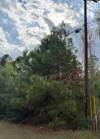 $39,000 | Lot 233 Makaha Drive, Bastrop, TX 78602