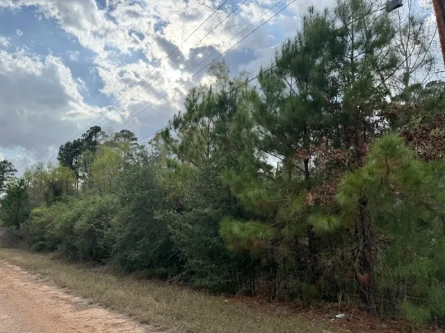 $39,000 | Lot 233 Makaha Drive, Bastrop, TX 78602