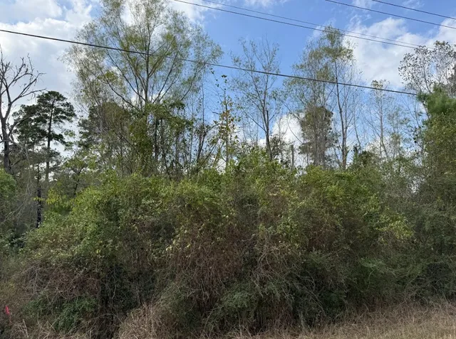 $39,000 | Lot 233 Makaha Drive, Bastrop, TX 78602