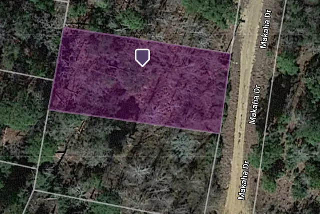 $39,000 | Lot 233 Makaha Drive, Bastrop, TX 78602