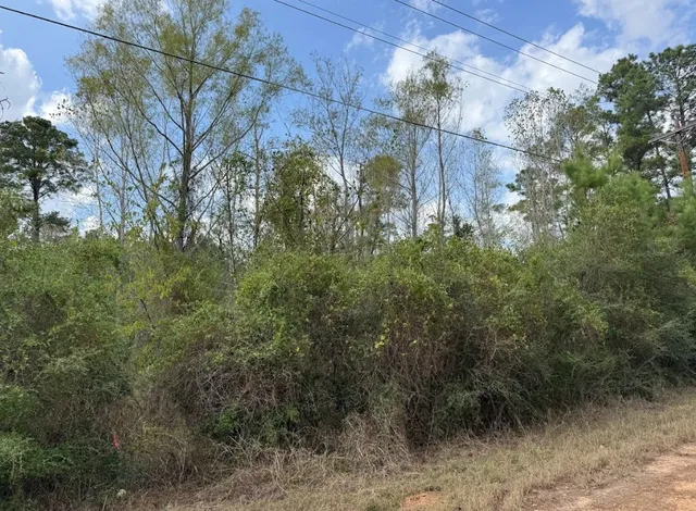 $39,000 | Lot 233 Makaha Drive, Bastrop, TX 78602