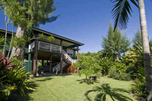 7304 Alealea Road Hanalei, HI 96714 - Photo 1 of 21 a view of a backyard with plants and a patio