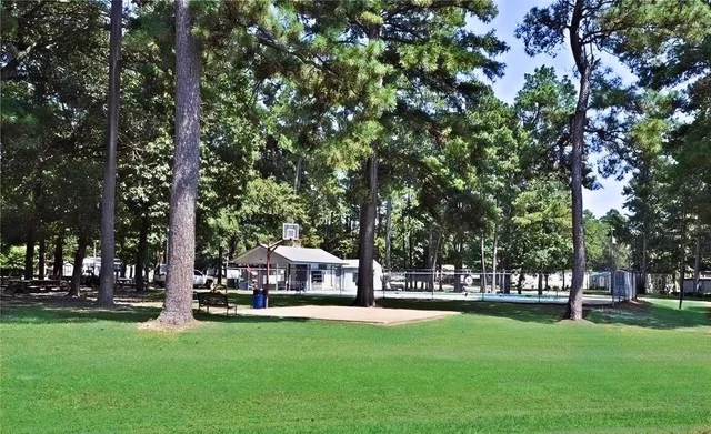 a view of a park with lawn chairs and large trees