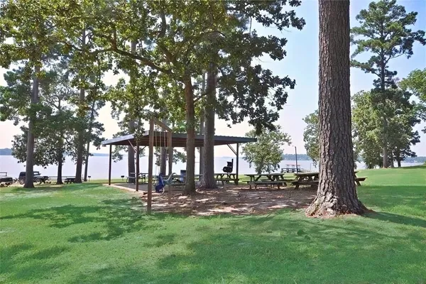 a garden with trees