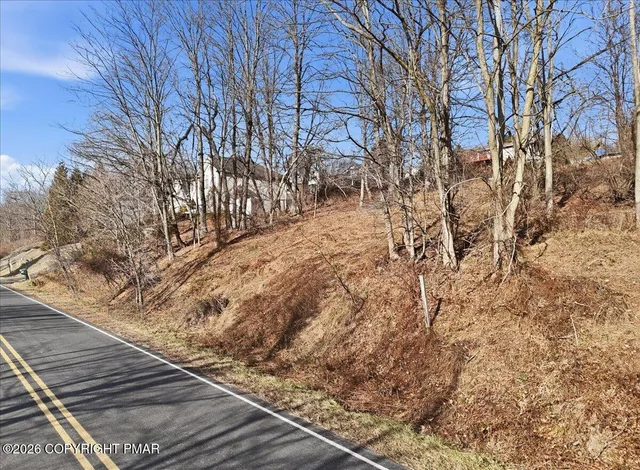 a view of a yard with trees