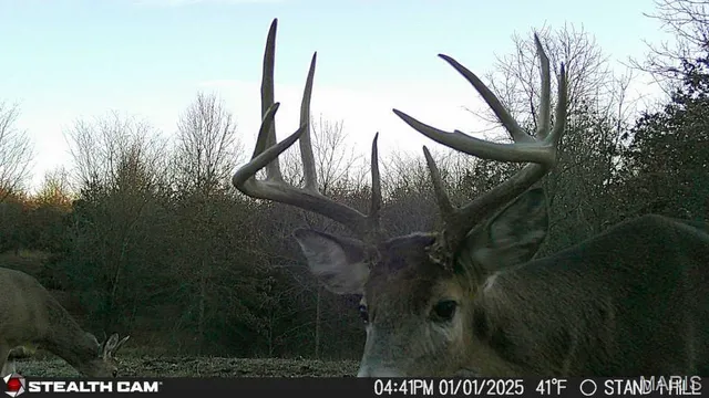 $337,500 | 6 Cedar Hollow Road, Fletcher, MO 63030