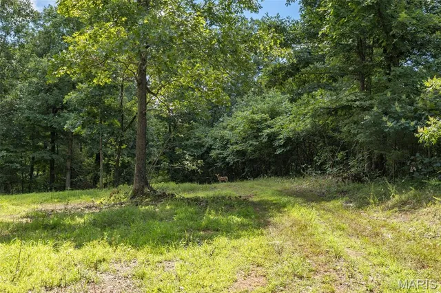 $337,500 | 6 Cedar Hollow Road, Fletcher, MO 63030