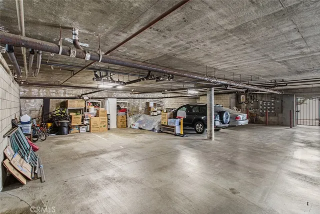 a view of a yard with plants and trees