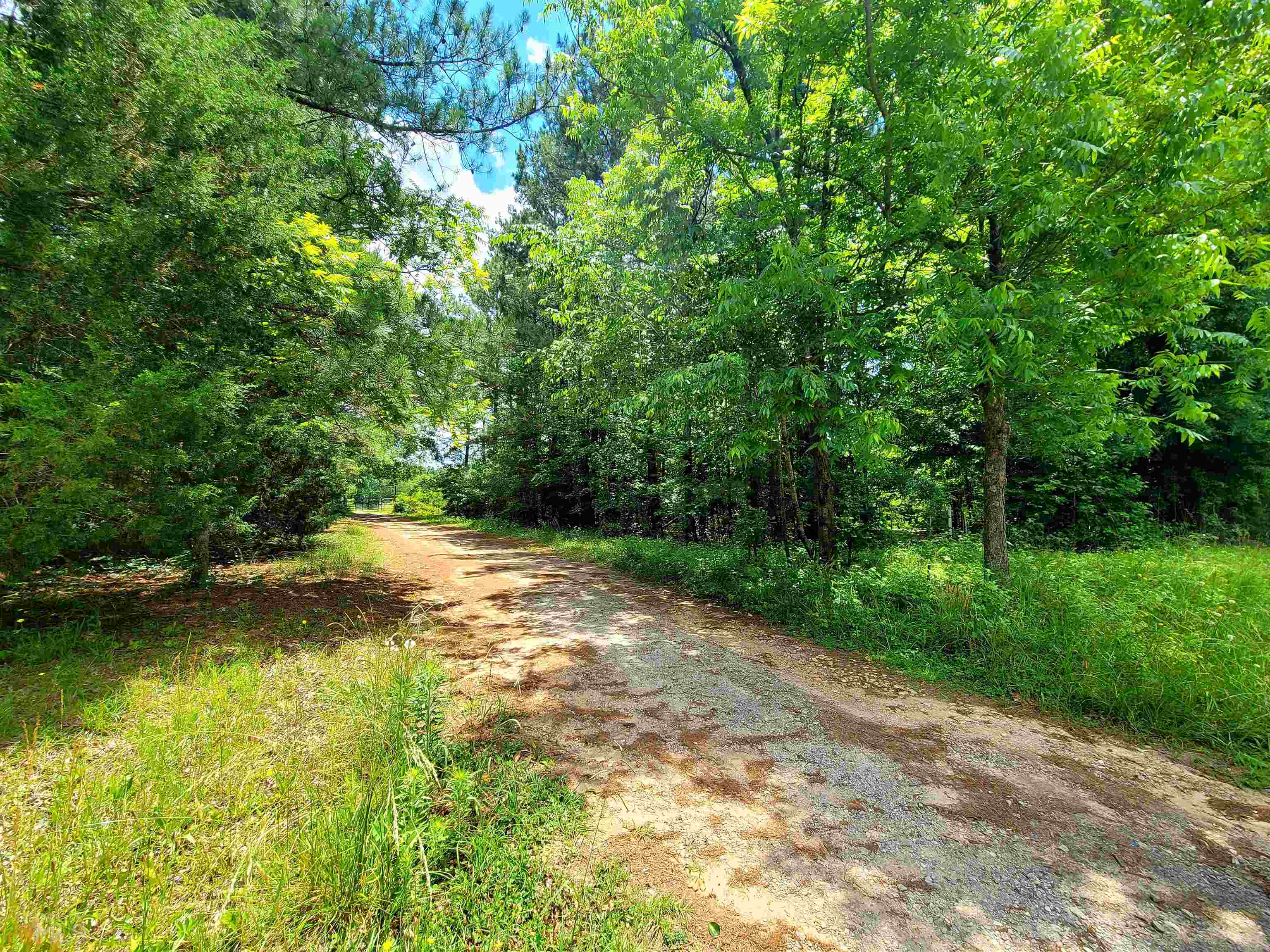 1612 Steele Road Griffin, GA 30223 - Photo 1 of 1 a view of yard with green space