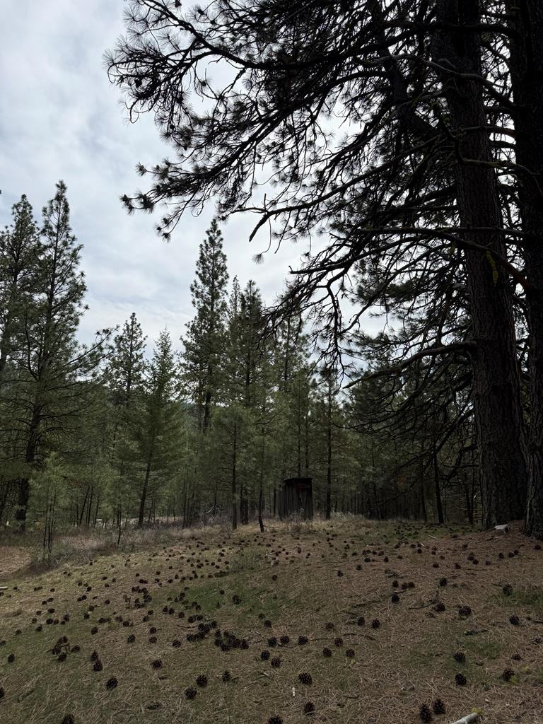 Lot 16 Sunset Loop, Unit 16 Cascade, ID 83611 - Photo 11 of 21