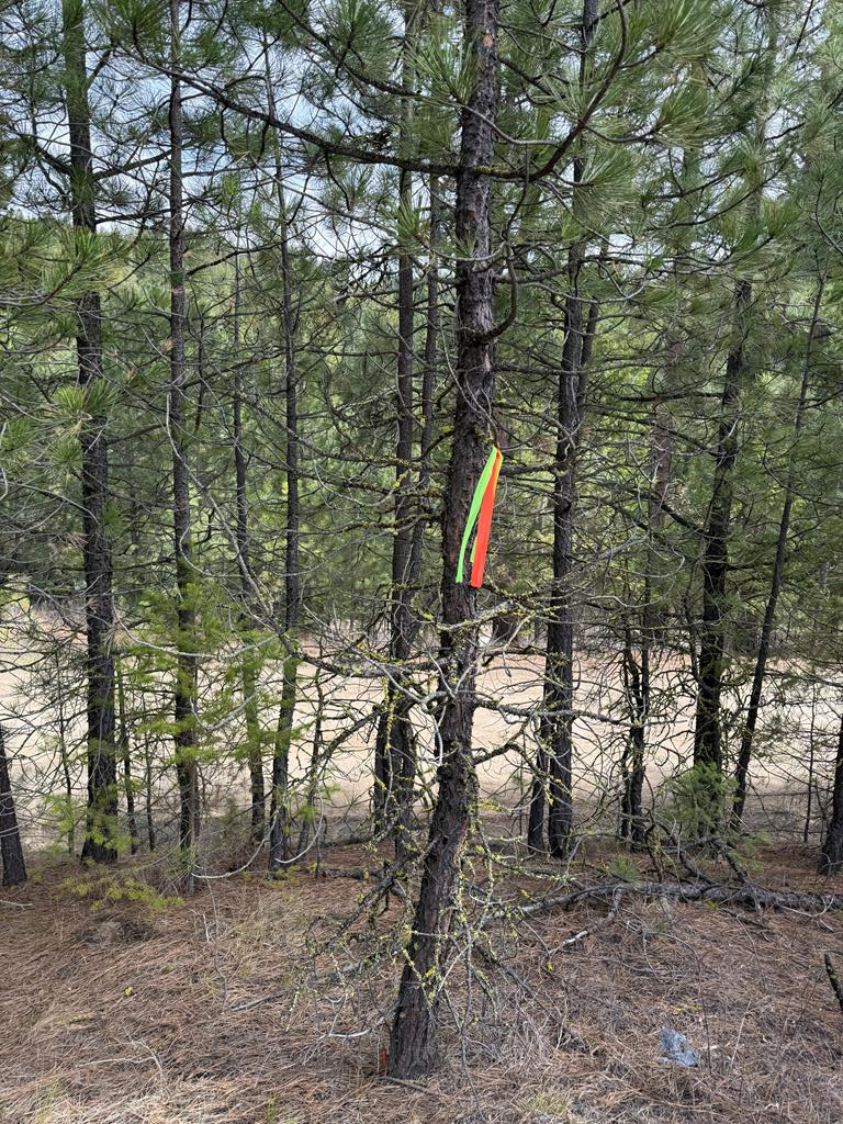 Lot 16 Sunset Loop, Unit 16 Cascade, ID 83611 - Photo 15 of 21