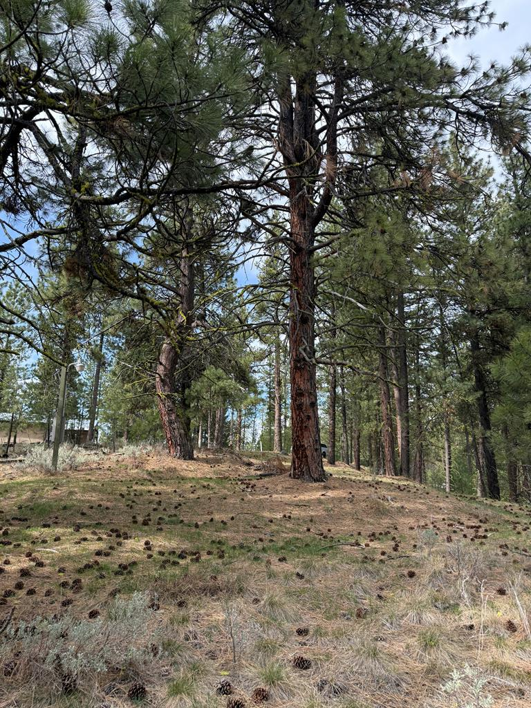 Lot 16 Sunset Loop, Unit 16 Cascade, ID 83611 - Photo 16 of 21