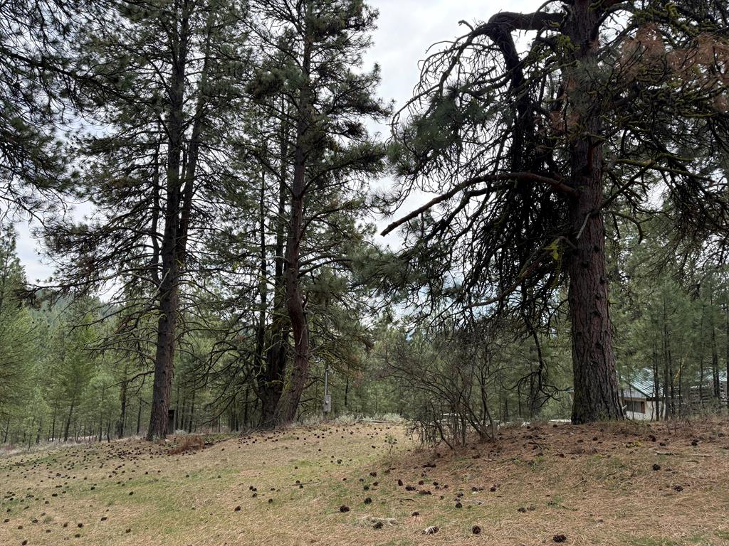 Lot 16 Sunset Loop, Unit 16 Cascade, ID 83611 - Photo 2 of 21