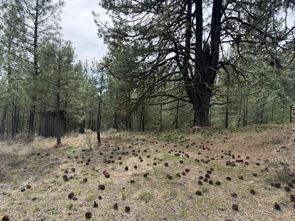 Lot 16 Sunset Loop, Unit 16 Cascade, ID 83611 - Photo 4 of 21