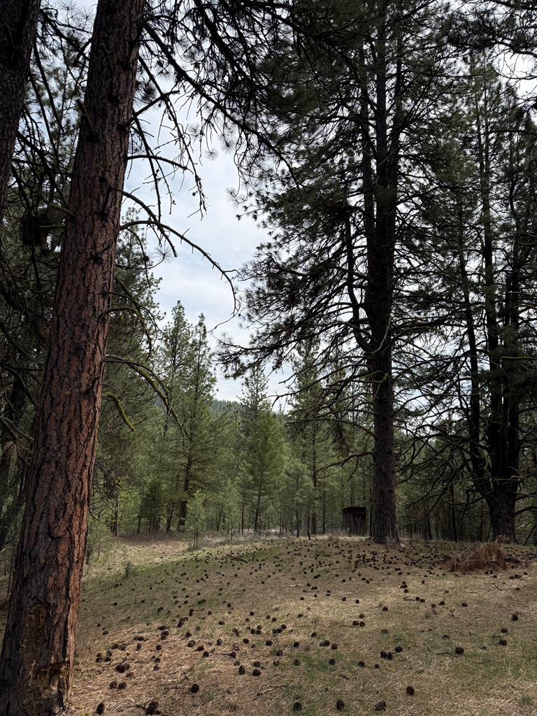 Lot 16 Sunset Loop, Unit 16 Cascade, ID 83611 - Photo 5 of 21