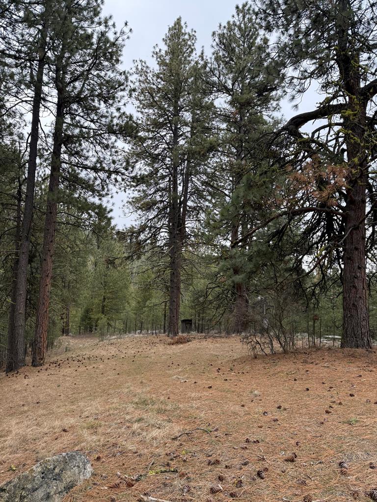 Lot 16 Sunset Loop, Unit 16 Cascade, ID 83611 - Photo 7 of 21