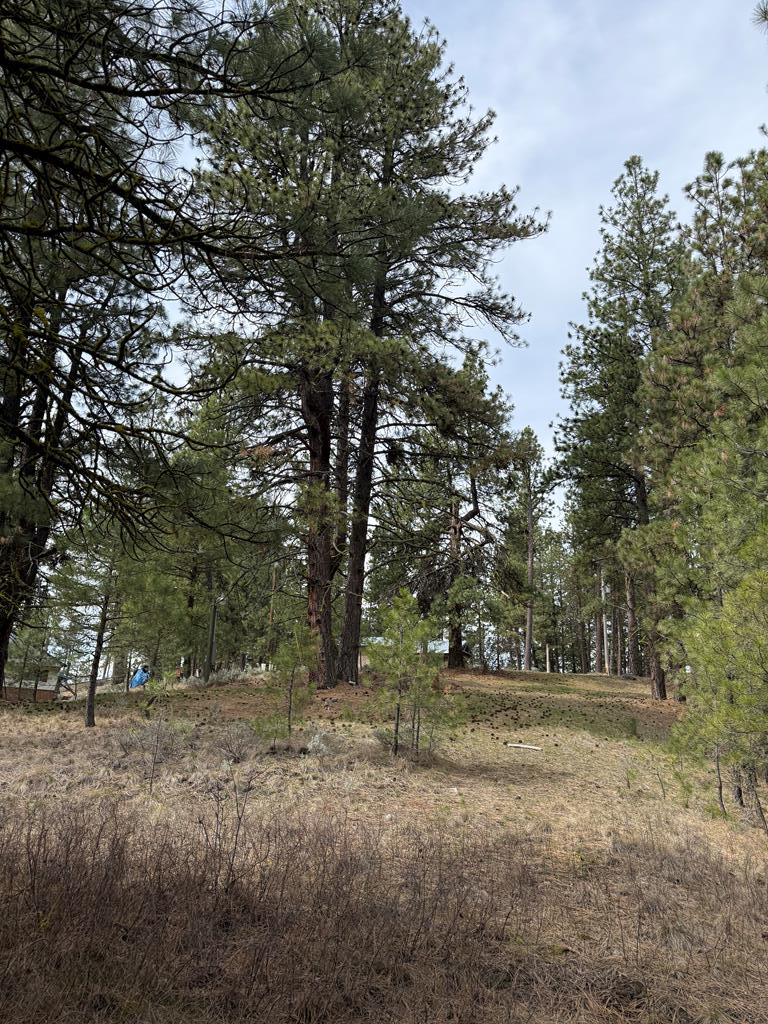 Lot 16 Sunset Loop, Unit 16 Cascade, ID 83611 - Photo 9 of 21