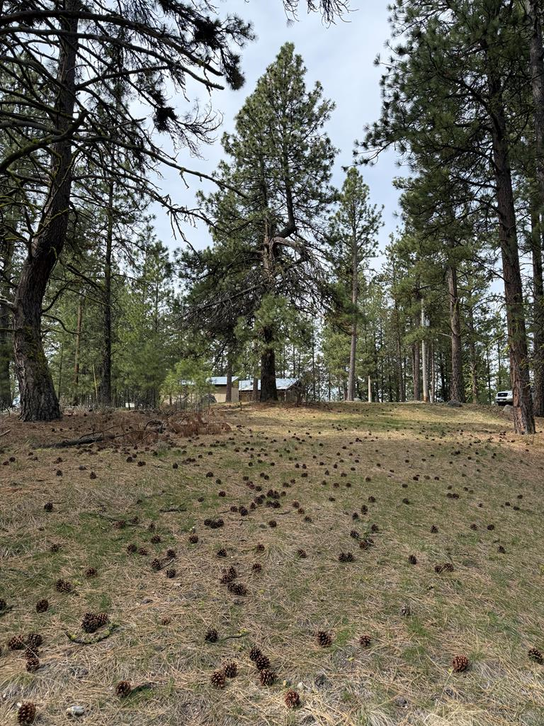 Lot 16 Sunset Loop, Unit 16 Cascade, ID 83611 - Photo 10 of 21