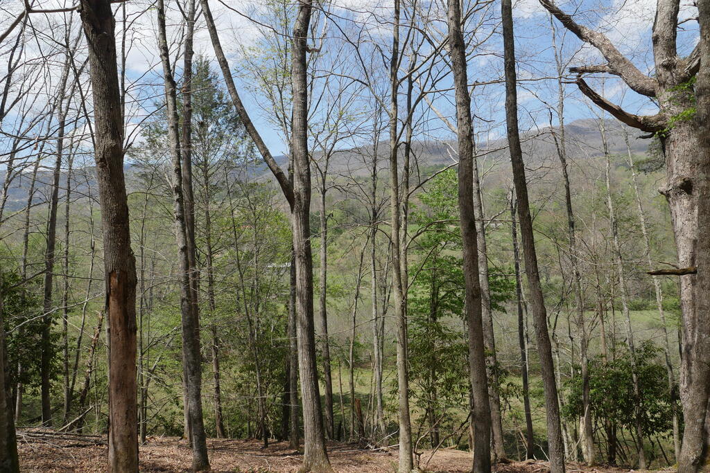 4020 Freestone Valley Road Tannersville, VA 24377 - Photo 95 of 109 Gallery Image 95