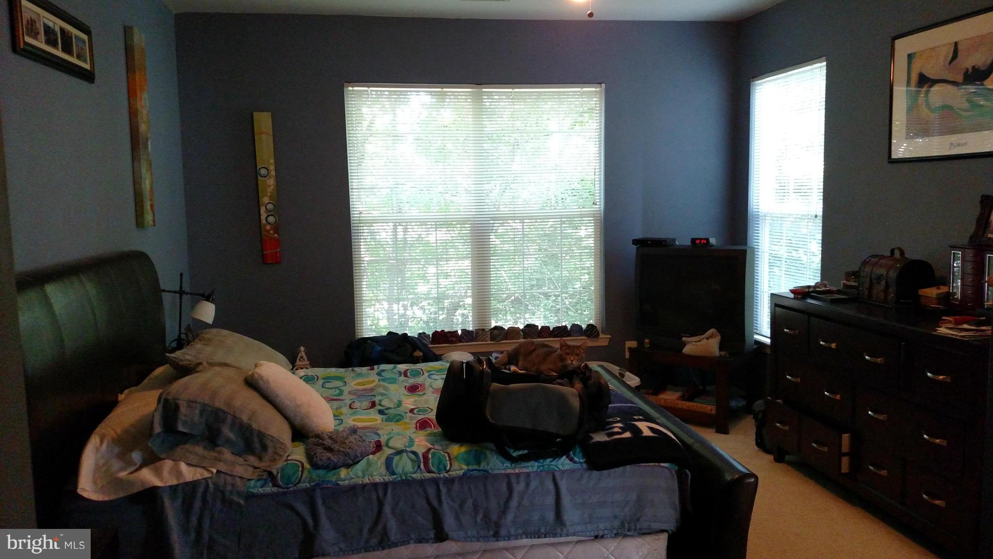 12713 Found Stone Road, Unit 5205 Germantown, MD 20876 - Photo 9 of 9 Bedroom (Master)