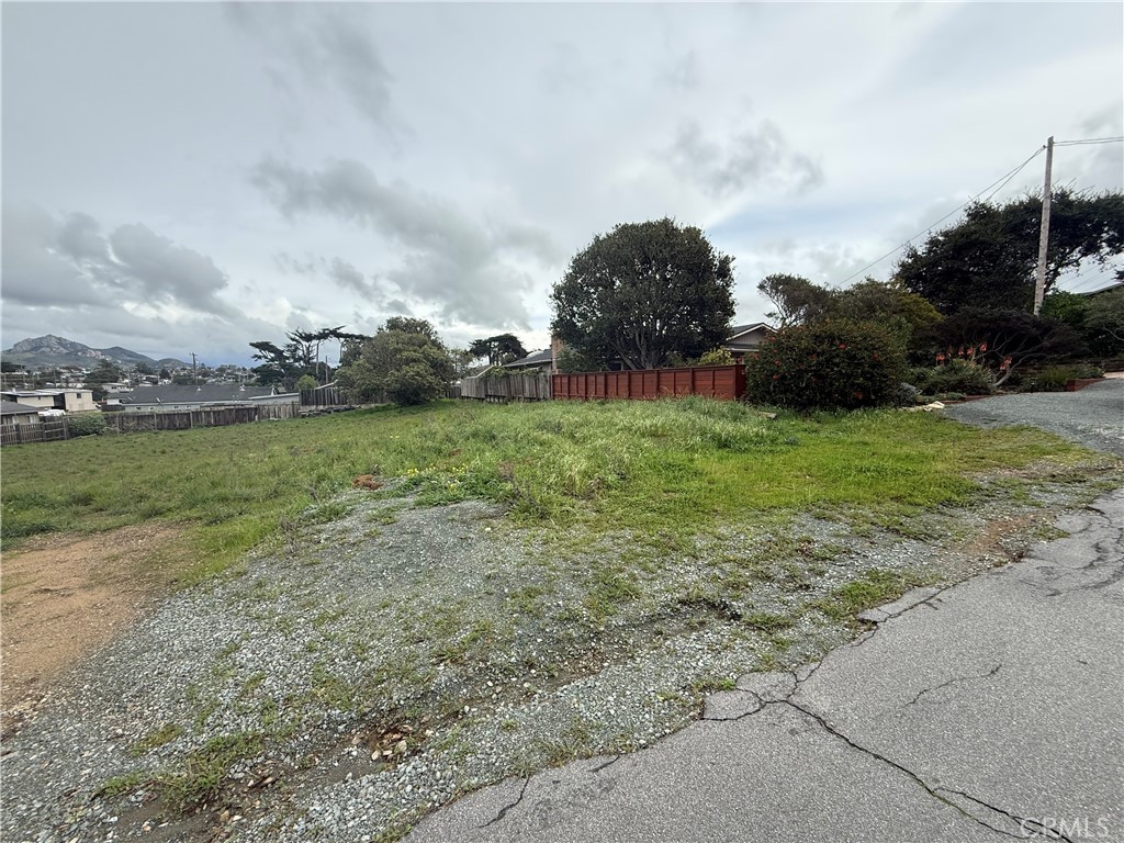 1434 5th Street Los Osos, CA 93402 - Photo 2 of 8 a view of a green field with lots of green space