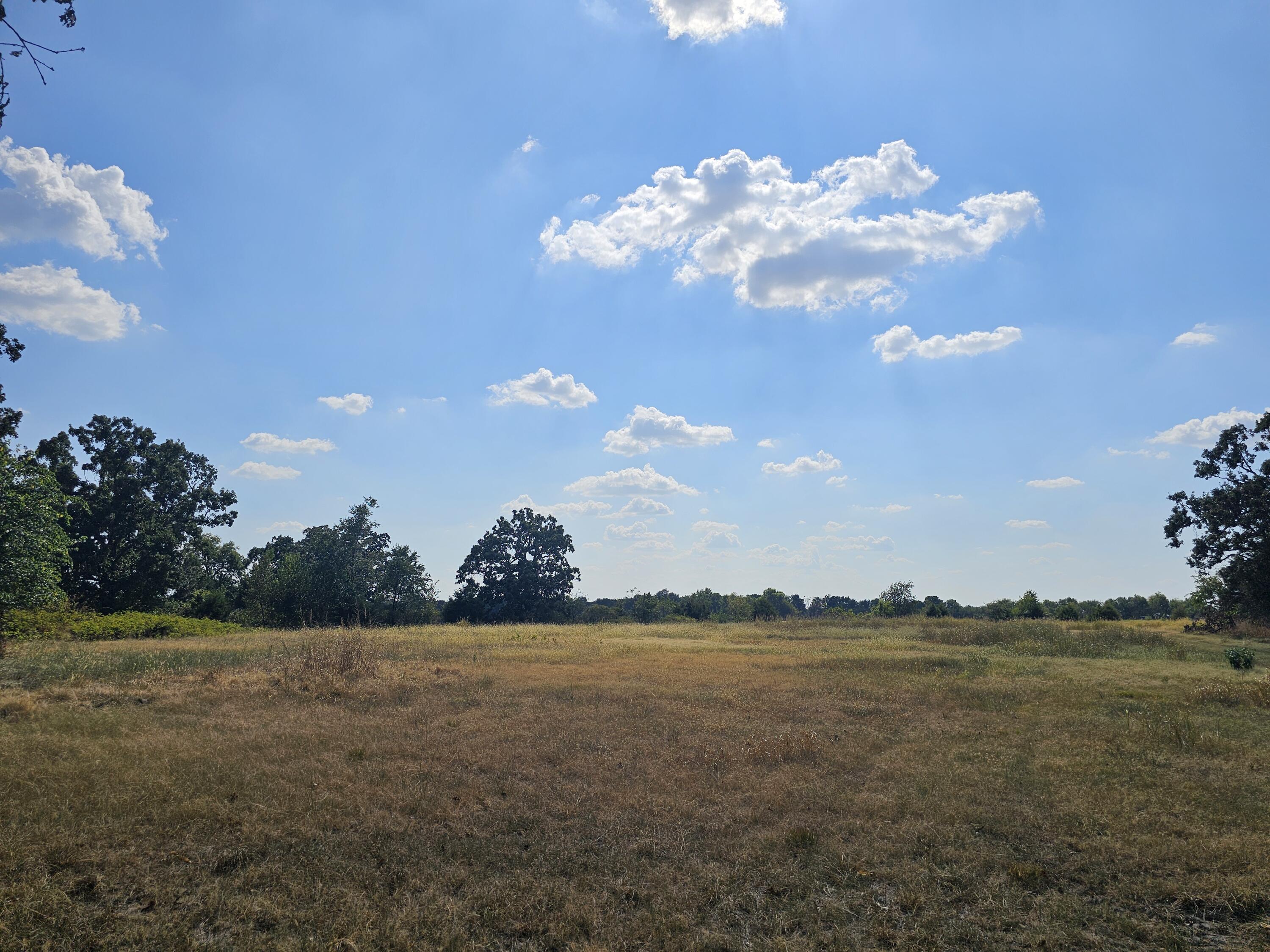 18127 State Rd H Monett, MO 65708 - Photo 49 of 65 20260909_152433
